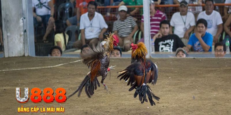 onbet đăng nhập mậu binh khuyến mãi