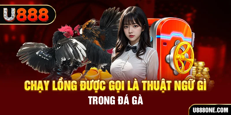 onbet tai game vua bai ve may tinh