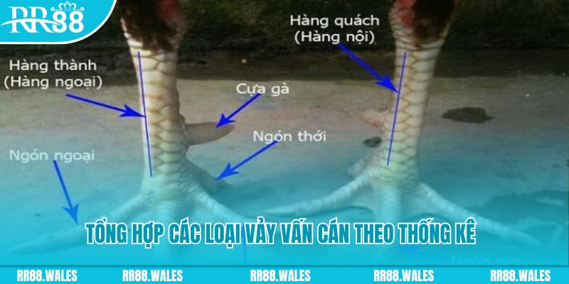 onbet xổ số miền nam thứ sáu