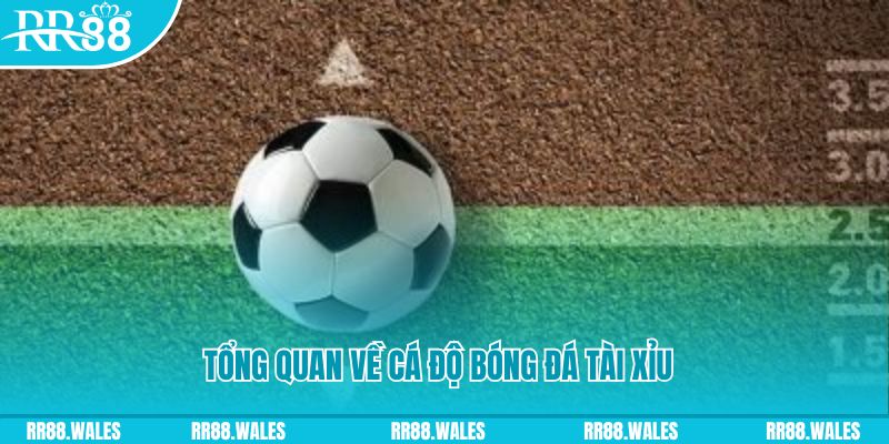 onbet đăng nhập roulette online