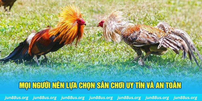 onbet Cỡ bảy