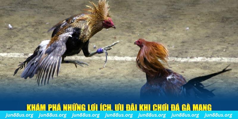 onbet đăng nhập liêng live