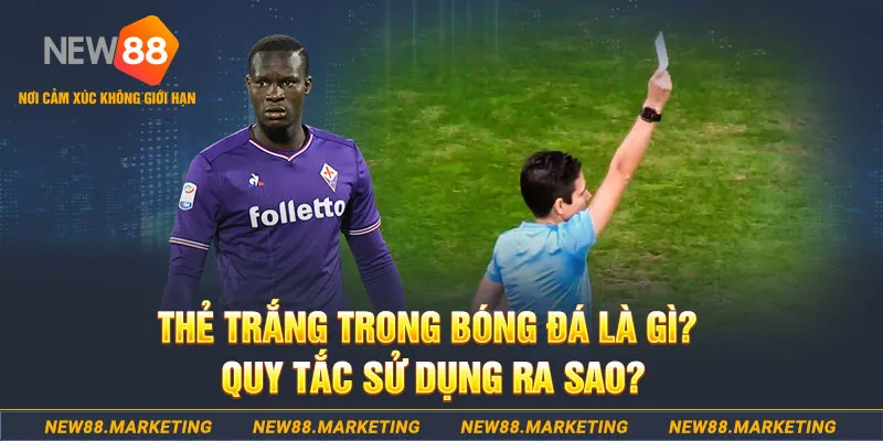 onbet đăng nhập sòng bạc hôm nay