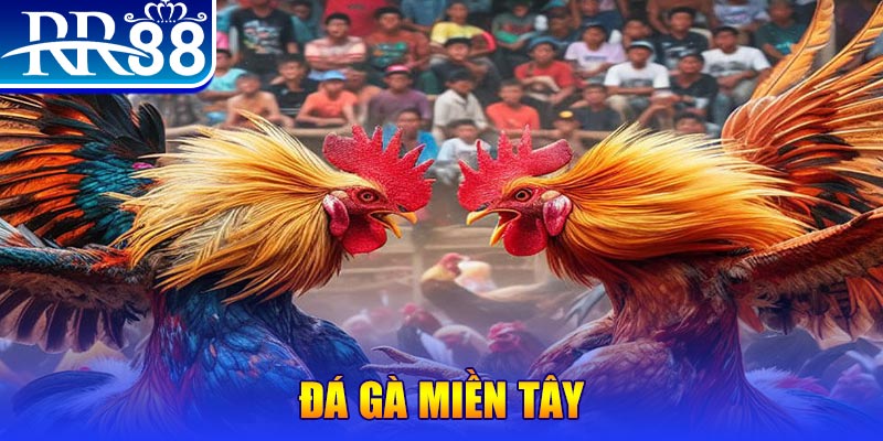 onbet người chia bài trong casino gọi là gì